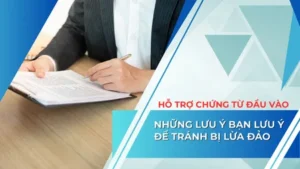 ho-tro-hoa-don-dau-vao